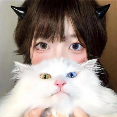 天使谋杀疑云